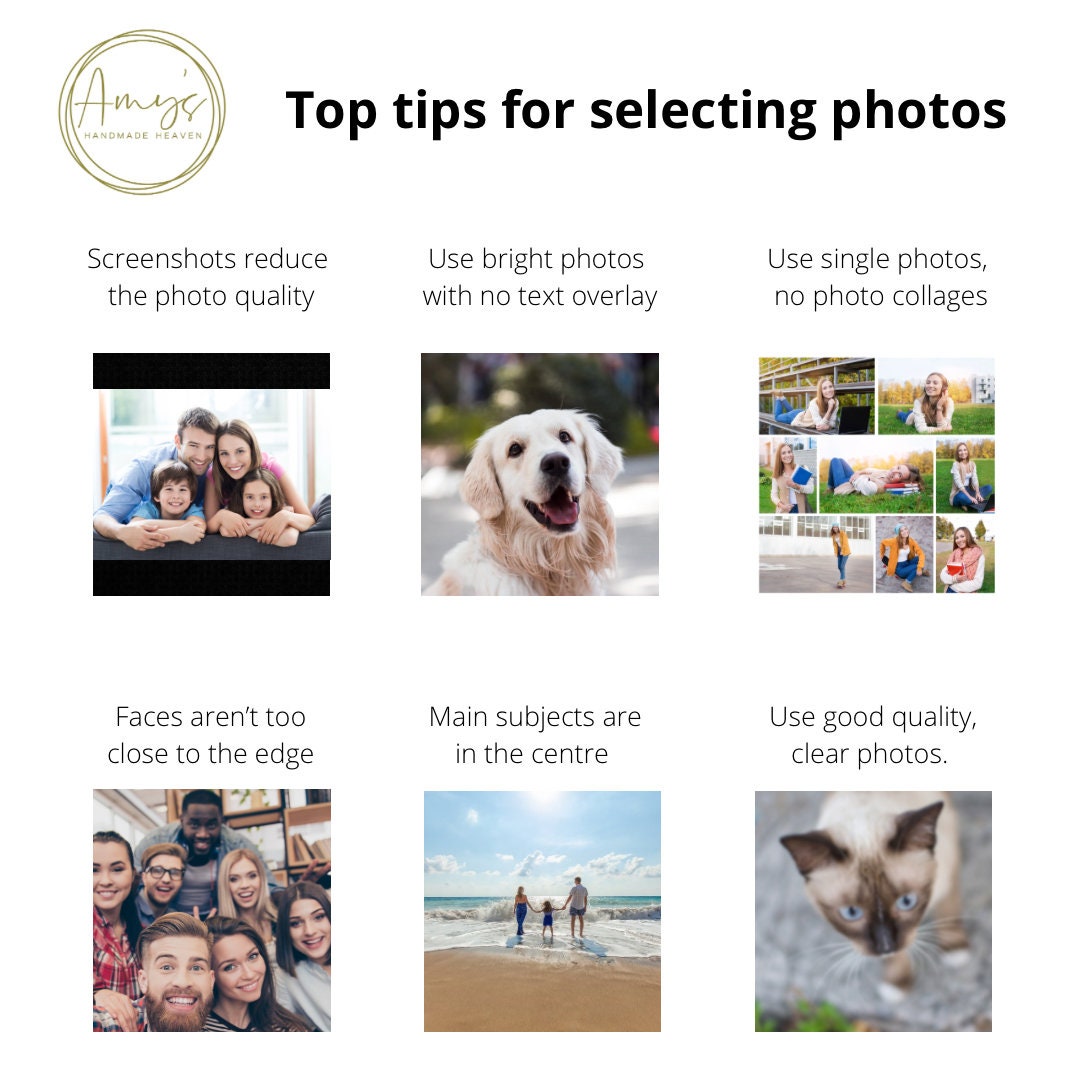 Jack Russell Dog Photo Collage