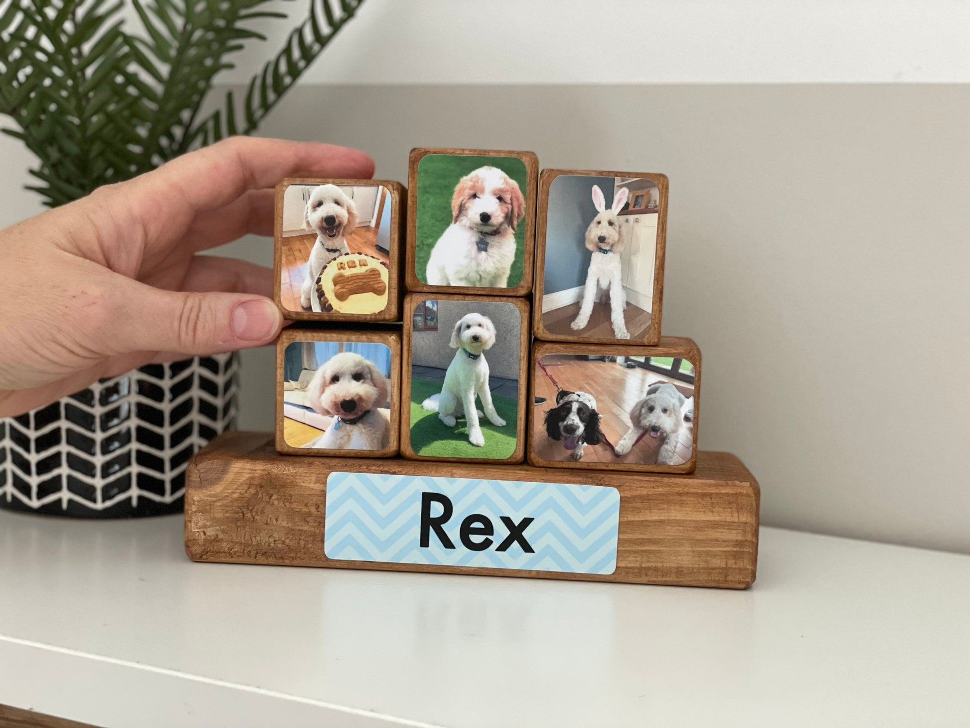 Stacking Photo Block Set - Pet