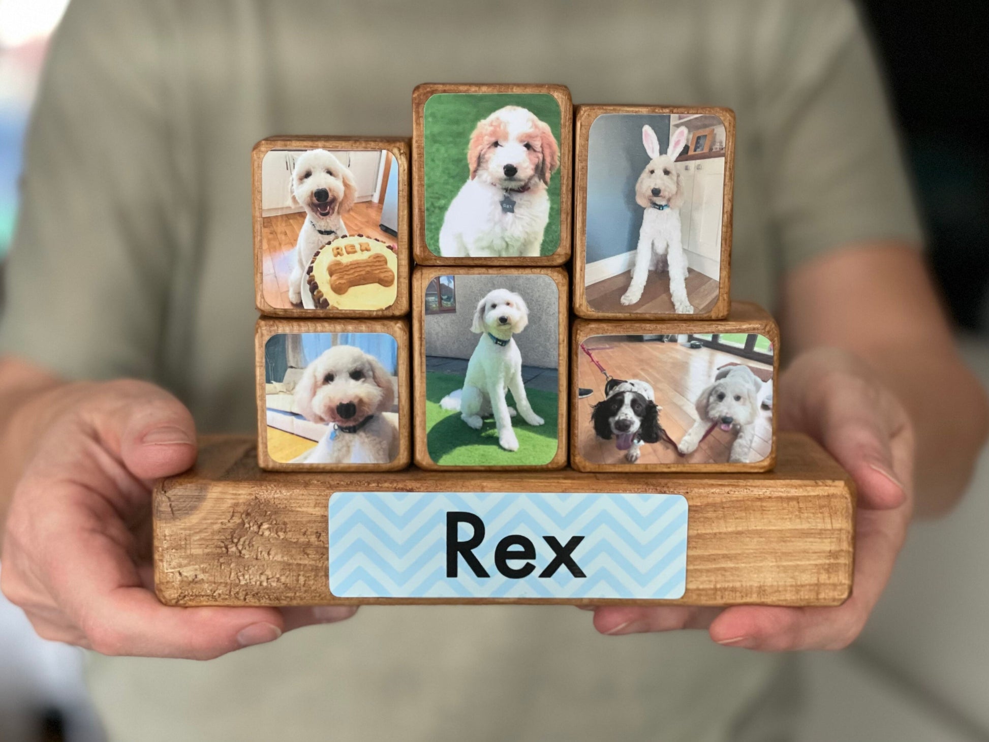 Stacking Photo Block Set - Pet
