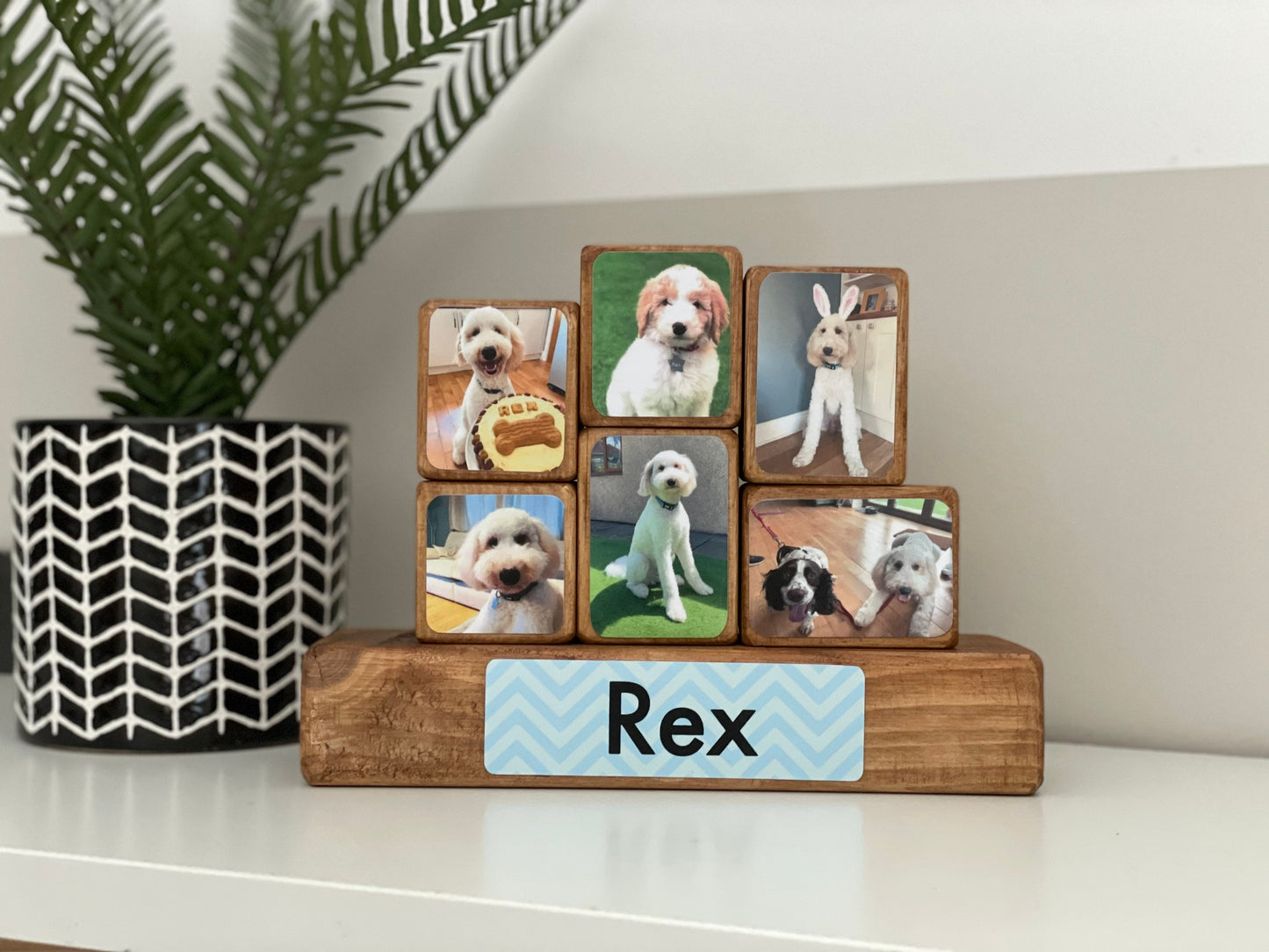 Stacking Photo Block Set - Pet