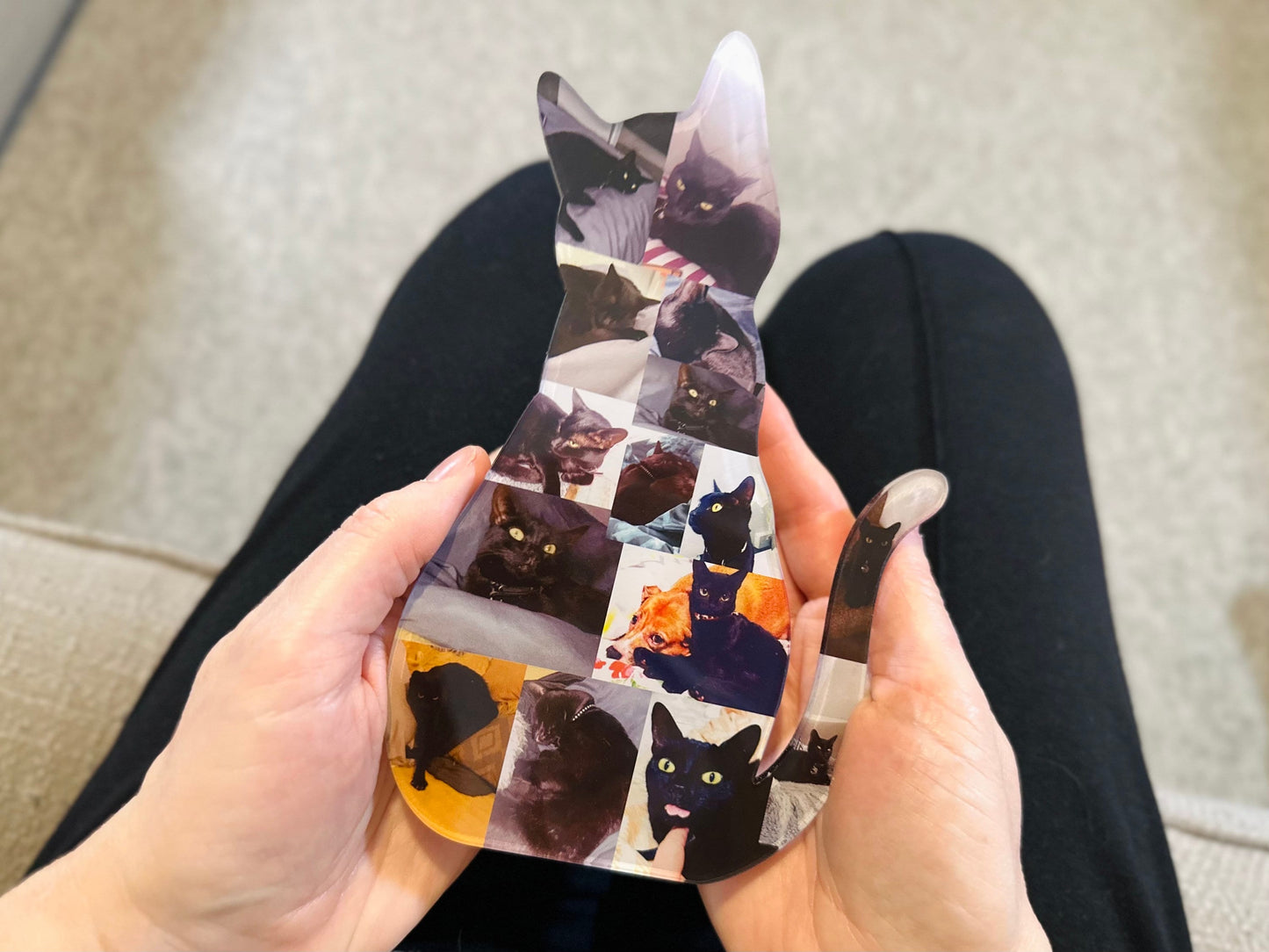 Sitting Cat Photo Collage