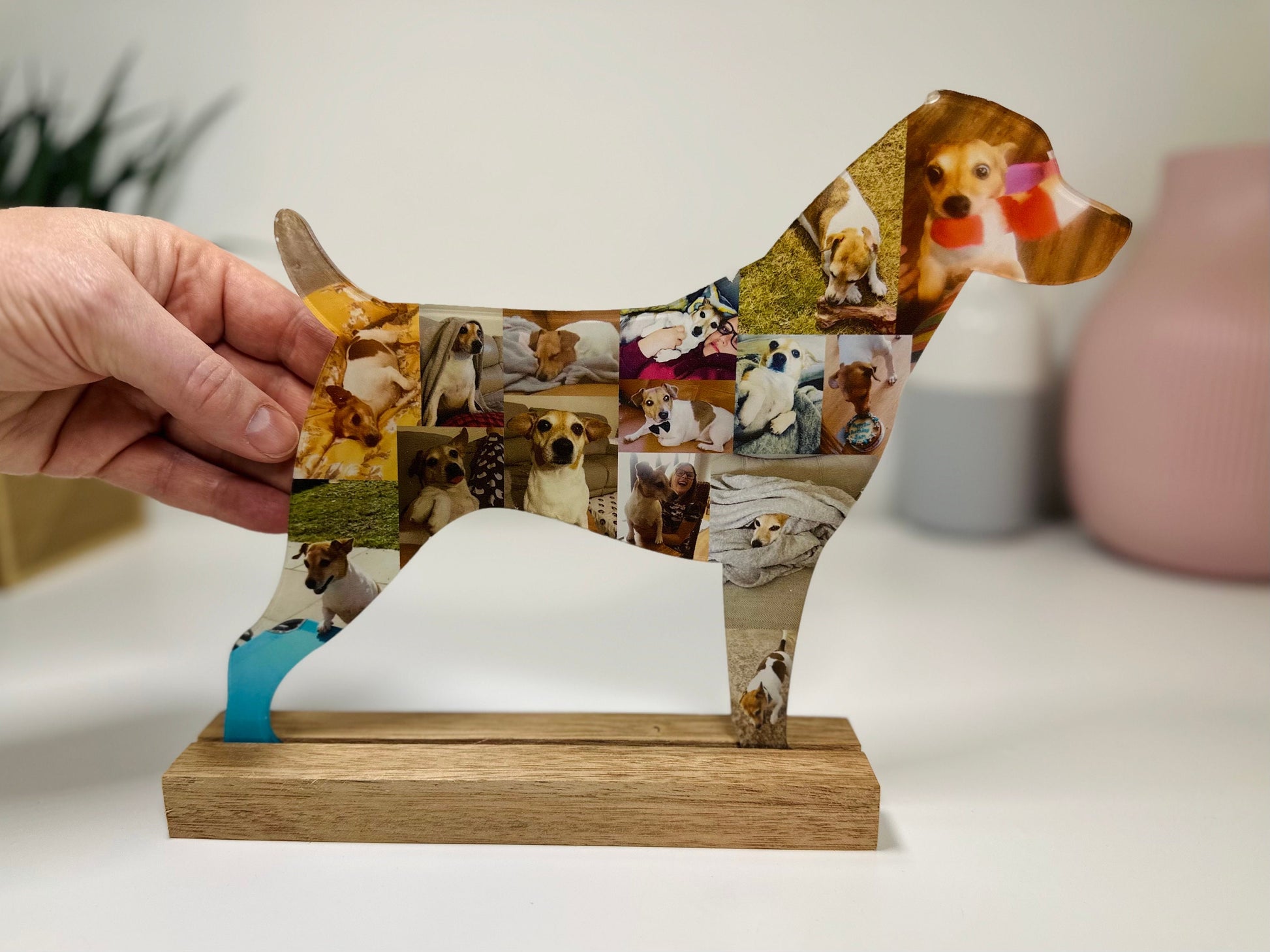 Jack Russell Dog Photo Collage
