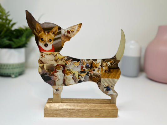 Chihuahua Photo Collage